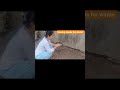 Sowing seeds for winter #viral #shortsviral #shorts #vegetables #plant #beetroots