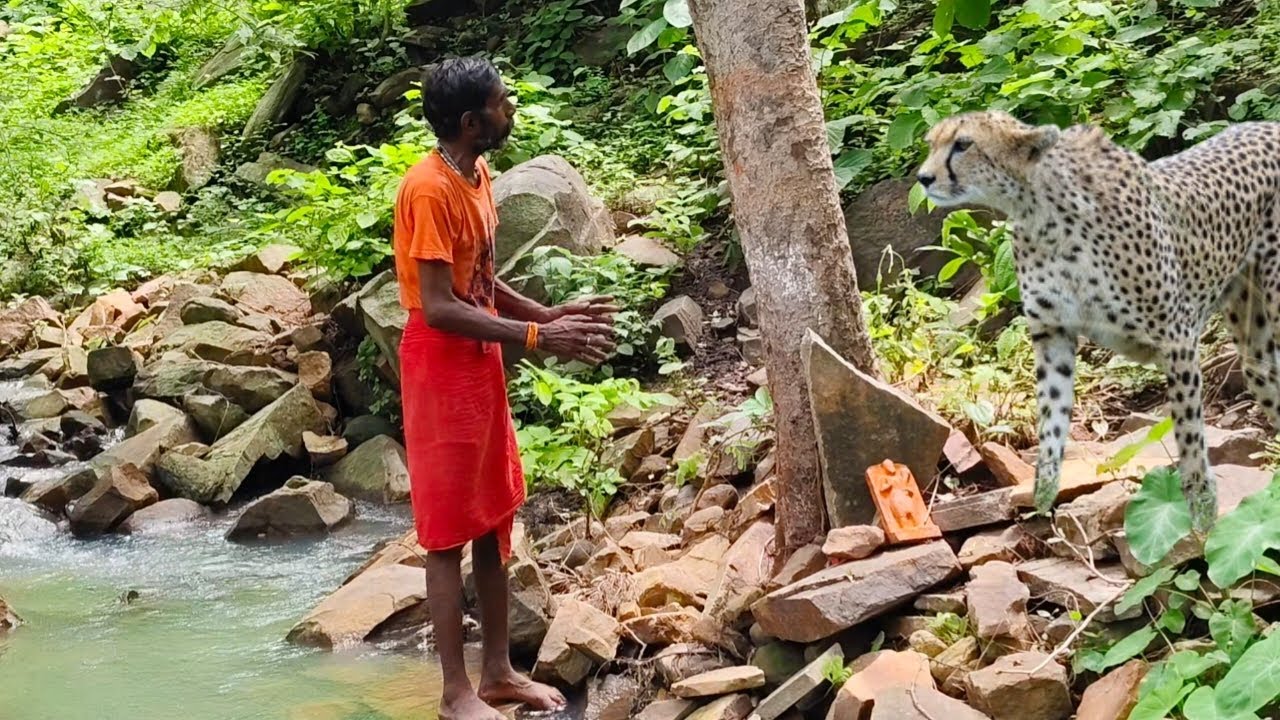 चित्रकूट से 80 किमी दूर एक बहुत ही डरावने भरे जंगल में संत करते हैं जानवरों के बीच में तपस्या