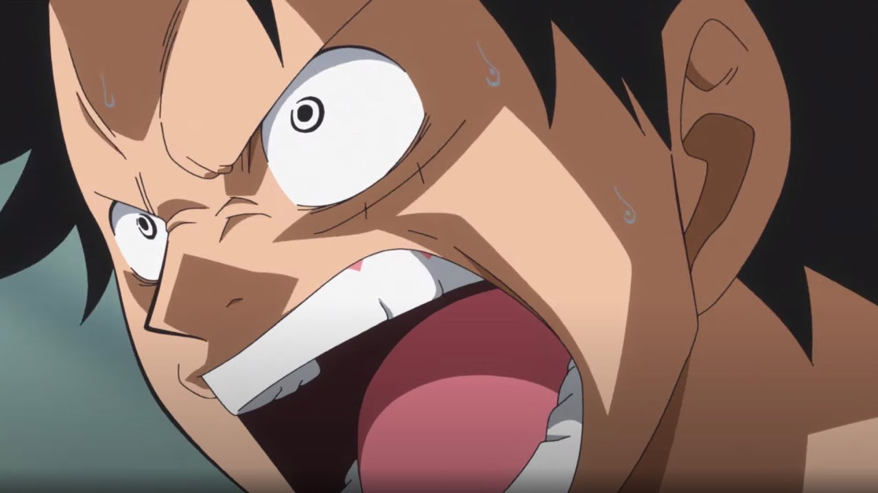 One Piece Season 10 Voyage 4 Coming Soon