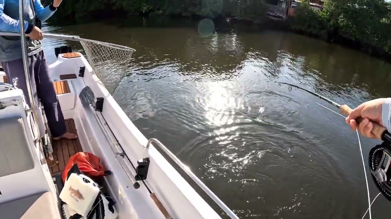 Brazilian Tarpon Explorer  in Recife(NG編)