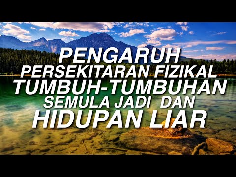 PENGARUH PERSEKITARAN FIZIKAL | Tumbuh-Tumbuhan Semula Jadi Dan Hidupan Liar