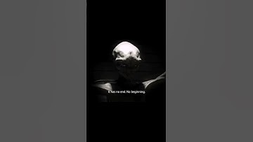 Area 51 alien video got leaked 👽 what do you think about it?