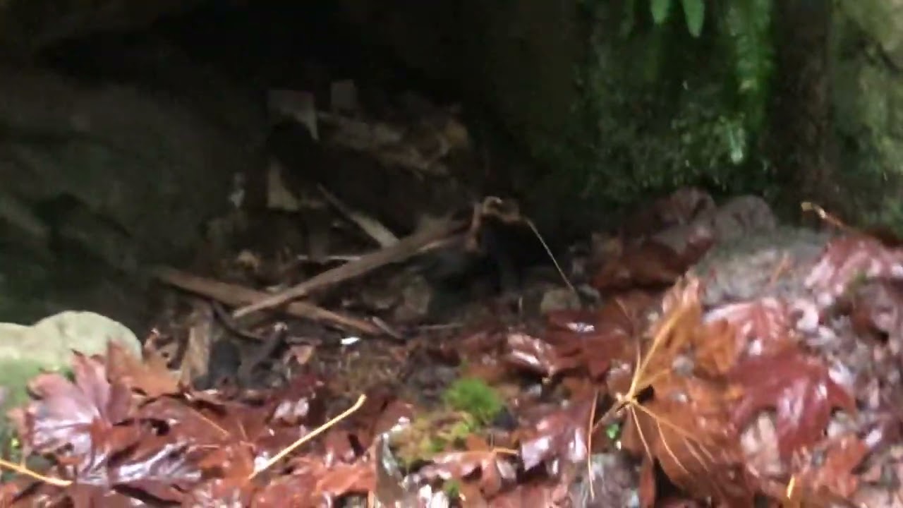 Homeless man living in a cave