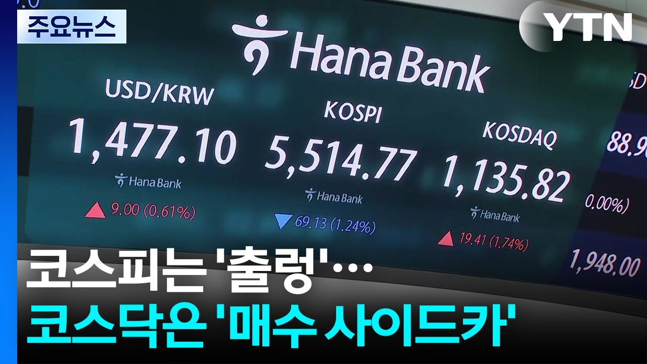 코스피는 '출렁'...코스닥은 '매수 사이드카' / YTN