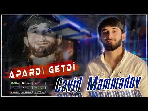 Cavid Memmedov - Apardi Getdi (2023)