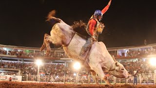 FINAL EM TOUROS - Rodeio de COLORADO 2023 (Oficial 4K)