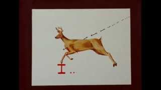 Download Lagu Squirrel Queen- I Used To Shoot Guns Download Lagu Squirrel Queen- I Used To Shoot Guns
