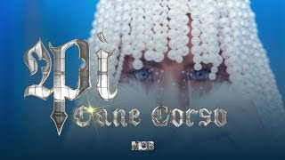 Pi - Cane Corso (Official Music Video) by MOB Entertainment 103,544 views 4 months ago 3 minutes, 17 seconds