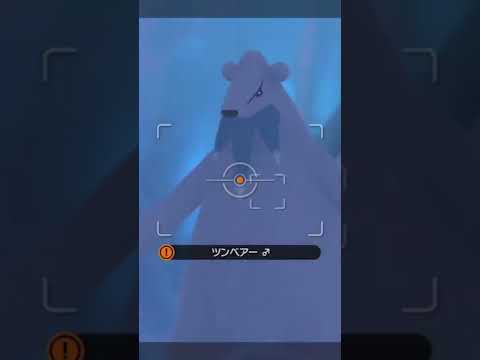 ツンベアー Youtube