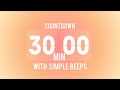 30 Minute Silent Study Timer | Simple beeps only ⏳ #studytimer #focustimer #timerchannel #flipclock