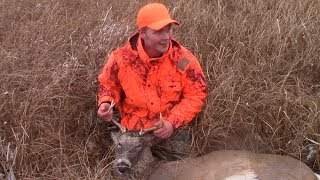 PUBLIC LAND GUN DEER DRIVES -Pumpkins in the marsh