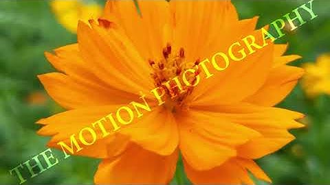 High-Quality AI  & ML Datasets for Computer Vision  Video Training #datasets #ai #ml #MLlearning #AI