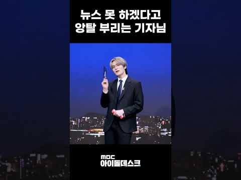 [이펙스] 뉴스 한복판에서 누나네 고양이를 외치다 #shorts