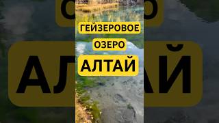 Одно из популярных мест у туристов - Гейзеровое озеро #путешествияпороссии #алтай #алтайотдых