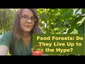 My Front Yard Food Forest: Does it Really Feed People? Are Food Forests a True Solution?