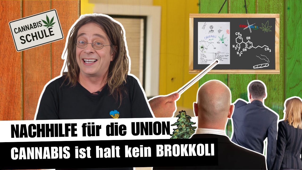 Wieso CANNABIS kein BROKKOLI ist - Eine LEKTION für die UNION