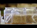 The compatibility between beer equipment design and process requirements