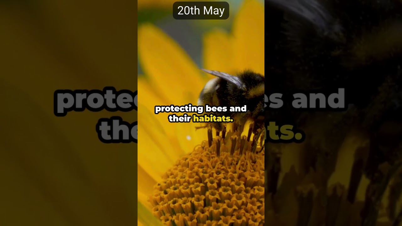 World Bee Day  