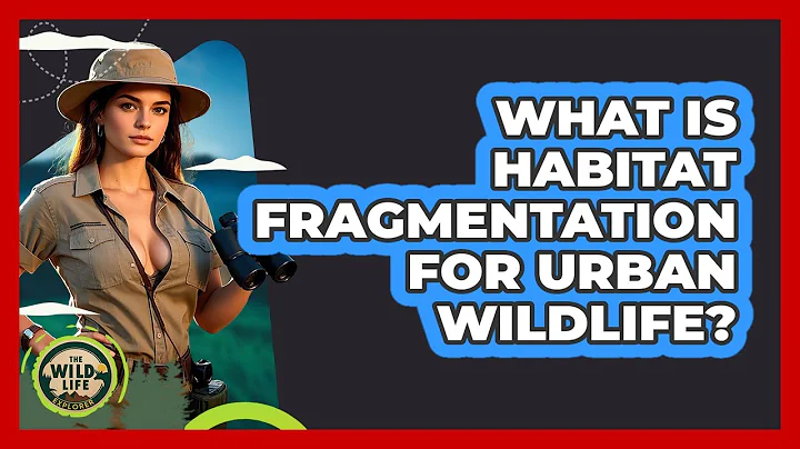 What Is Habitat Fragmentation For Urban Wildlife? - The Wild Life Explorer