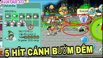 Test item nâng cấp mới, nâng cỏ 4, Quay cánh bướm đêm, nón napoleon (Avatar 2D Teamobi)