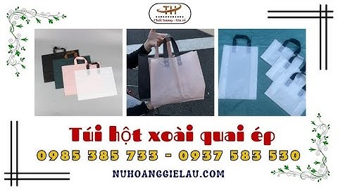 Túi hột xoài quai ép đựng hàng hoá sang trọng | Túi hột xoài PE