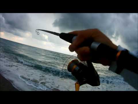 Daiwa Duckfin Shad