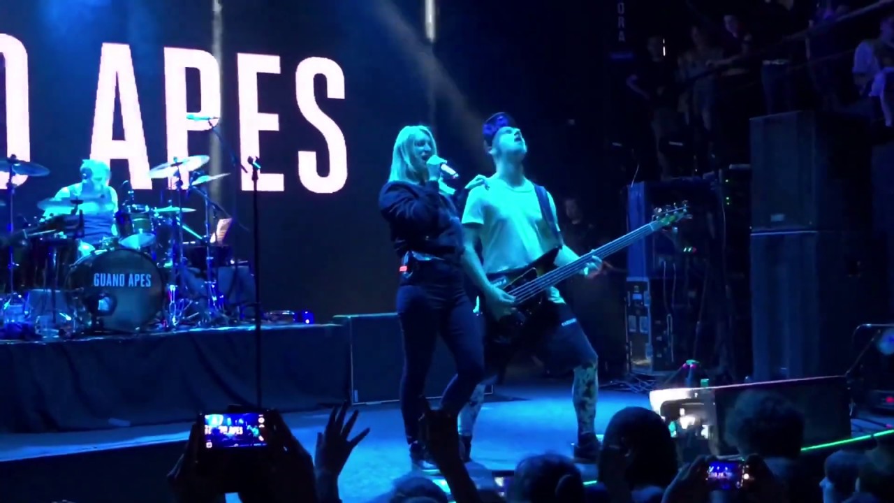 guano apes new video guano apes new video