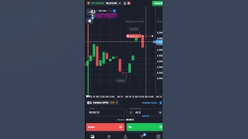 SkyNet Bot: Your Easy-to-Use Trading Companion #tradingbot #forex #crypto