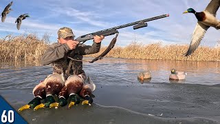 Solo MALLARD Limit Over an ICE HOLE! | 28 Gauge Duck Hunting