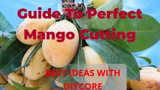 Mango Master: The Ultimate Guide to Perfect Mango Cutting | Diy Core |