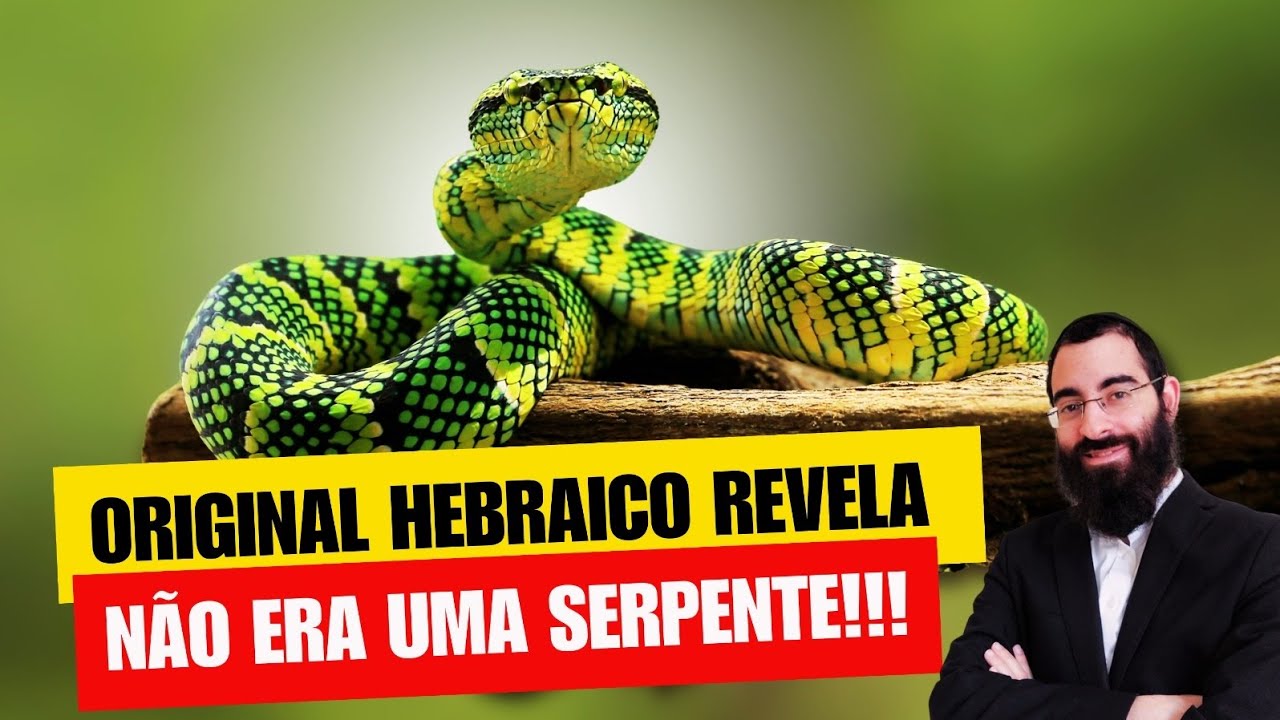 A Serpente de Gênesis NÃO ERA UMA SERPENTE! Texto hebraico revela!