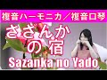 P517. 『さざんかの宿』”Sazanka no Yado”　 複音ハーモニカ by 柳川優子 Yuko Yanagawa Tremolo Harmonica 1,000　複音口琴