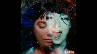Björk  /  Hyperballad    ⭐️⭐️⭐️⭐️⭐️