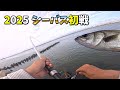 川エビで シーバス ウキ釣り 2025 初戦