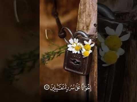 إن المتقين في جنات وعيون القارئ محمد هشام