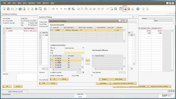Inventory Counting in SAP Business One 9.0