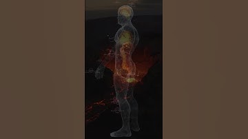 سورة التين ~ الشيخ رعد الكردي