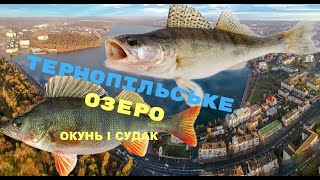 Пробний виїзд на Тернопільський став (GoldFish)