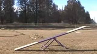 Risk's Sliding Teeter