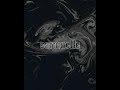 Mesto x fallon - Diet Caramelle coke (Hide & Churu remix)