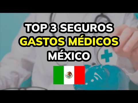 🥇 3 Mejores