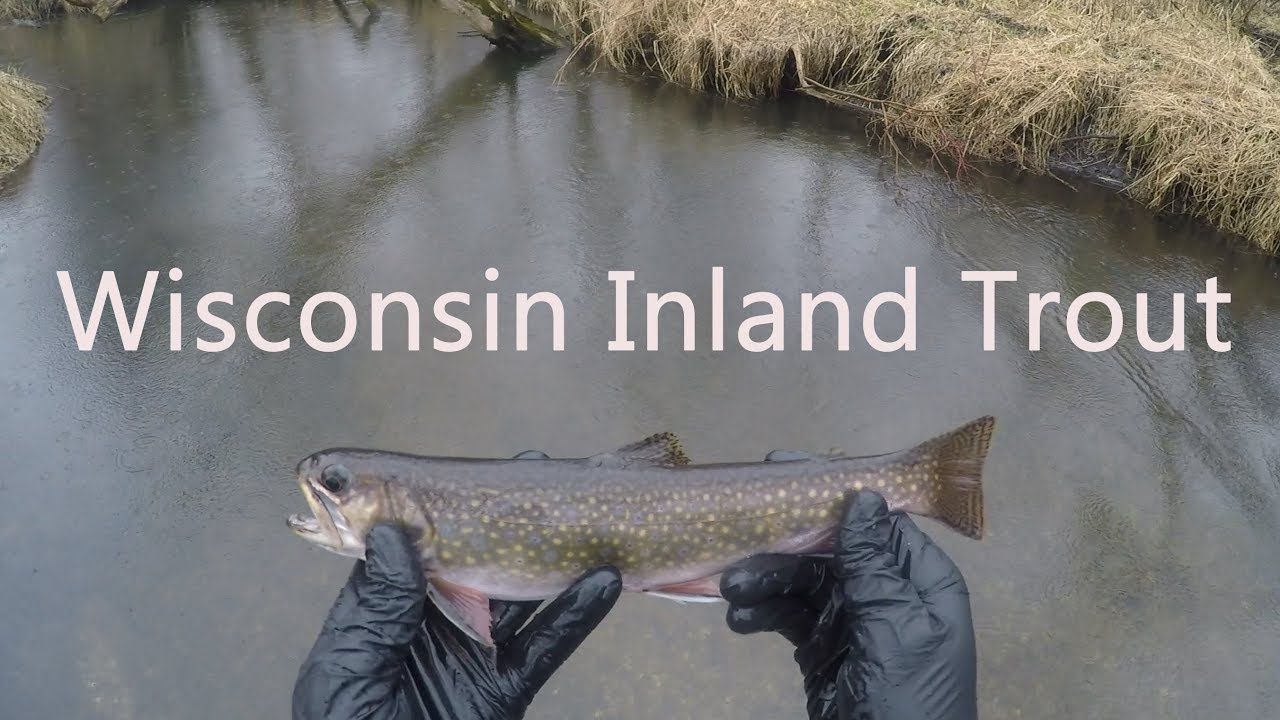 Inland trout fishing, Fishing Wisconsin