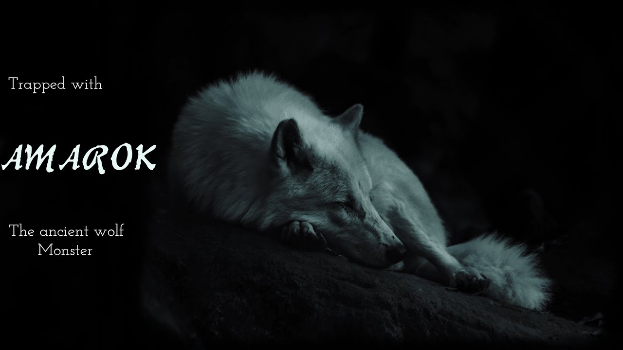 Trapped with the Amarok the ancient wolf [Roleplay] [Male x Listener] [ASMR]