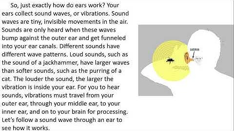 CKLA Unit 3 Lesson 8