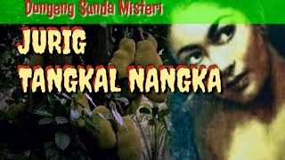 Dongeng Jurig Tangkal Nangka | Dongeng Misteri Sunda d'story terbaru