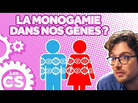 Vidéo: Les humains sont-ils la seule espèce monogame ?