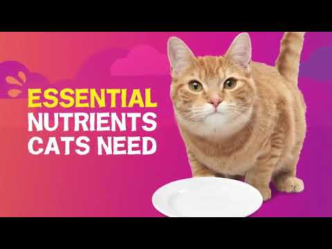 Purina Friskies Pate Wet Cat Food Variety Pack - Seafood & Chicken Pate Favorites