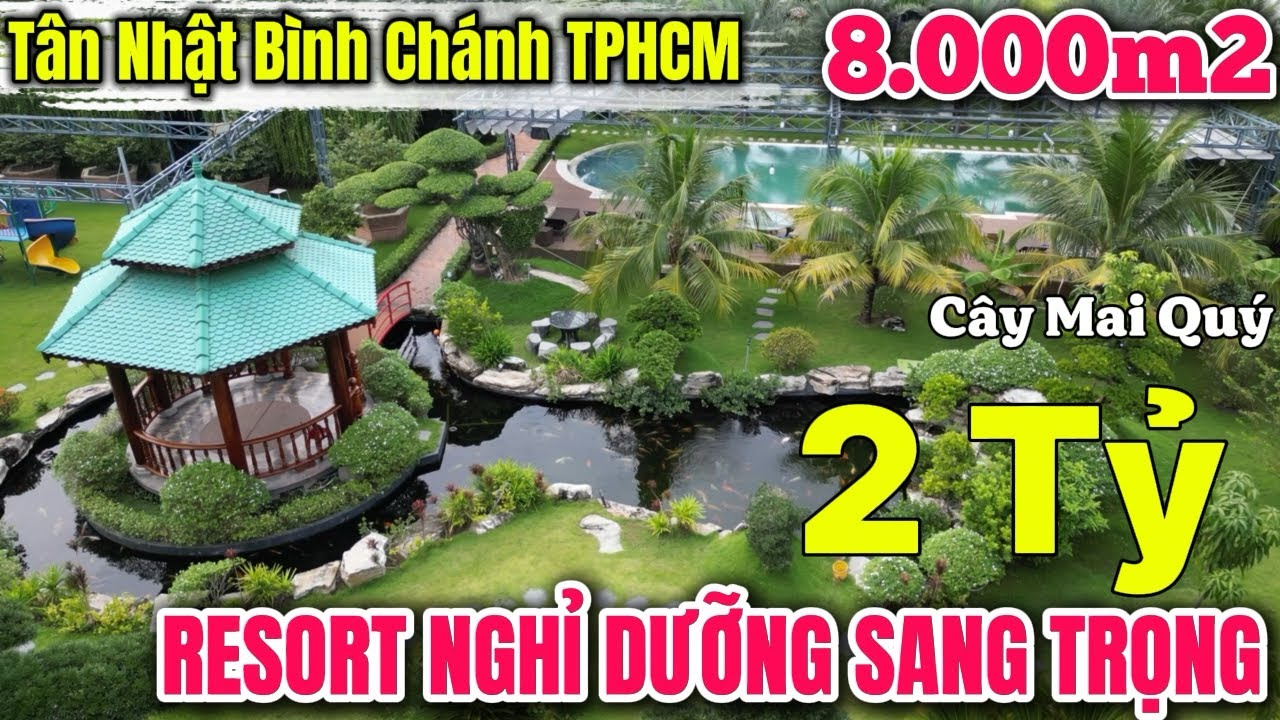 Tập 168 🔥NHÀ VƯỜN BÌNH CHÁNH \ Resort Nghỉ Dưỡng Sang Trọng 8.000m2 Bình Chánh TPHCM ✅