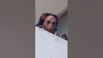 el laberinto del terror 😱😱😱😱