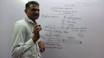 CLASS 12 BIOLOGY GUJRATI MEDIUM BY S.R SIR AARADHYA CLASSES
